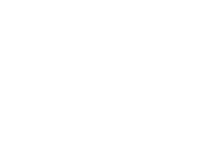 GRAFISMO PNG SEM FUNDO_branco